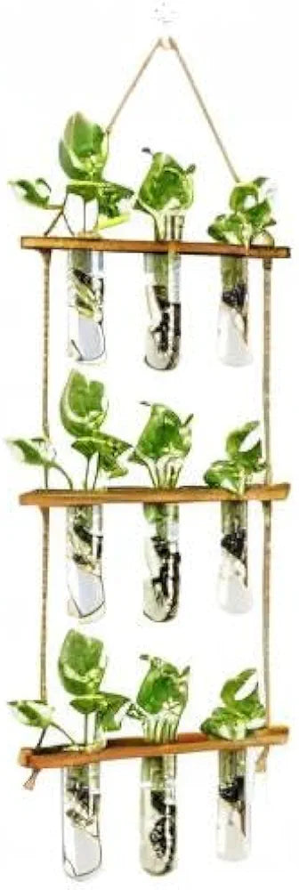 Wall Hanging Propagation Station with Wooden Stand
