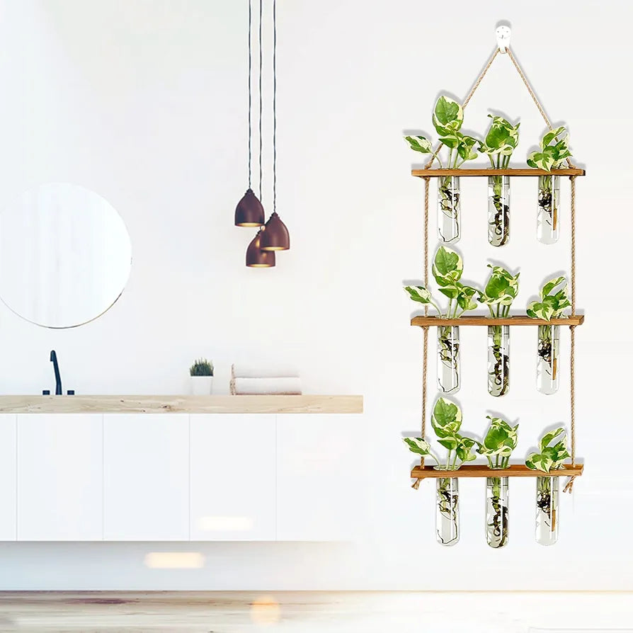 Wall Hanging Propagation Station with Wooden Stand