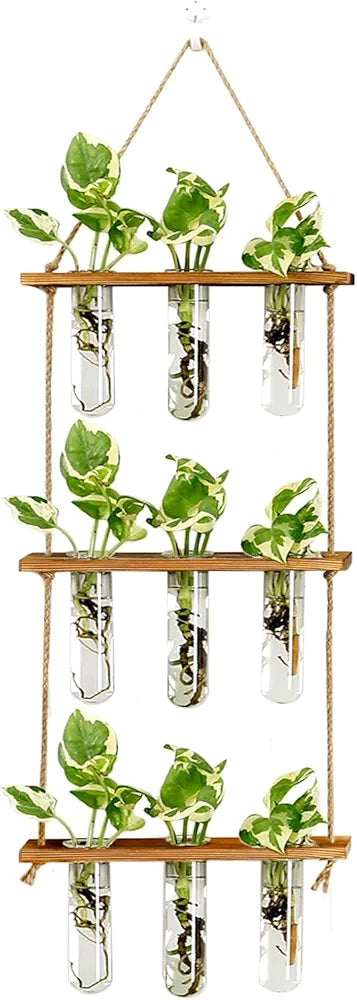 Wall Hanging Propagation Station with Wooden Stand