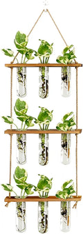 Wall Hanging Propagation Station with Wooden Stand
