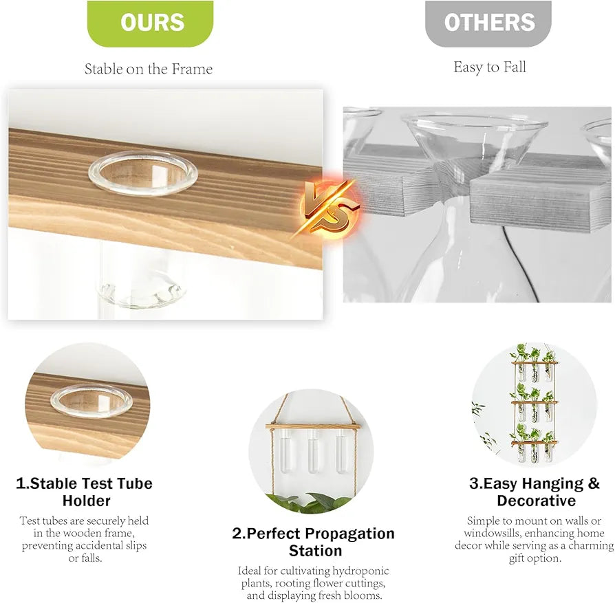 Wall Hanging Propagation Station with Wooden Stand