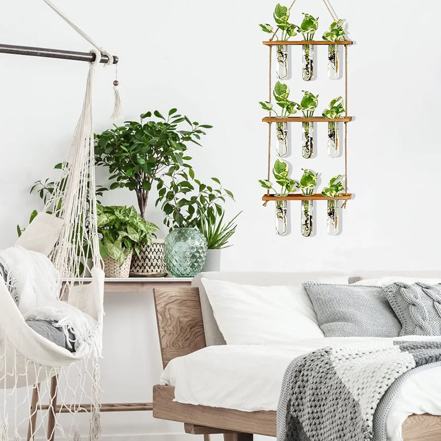 Wall Hanging Propagation Station with Wooden Stand