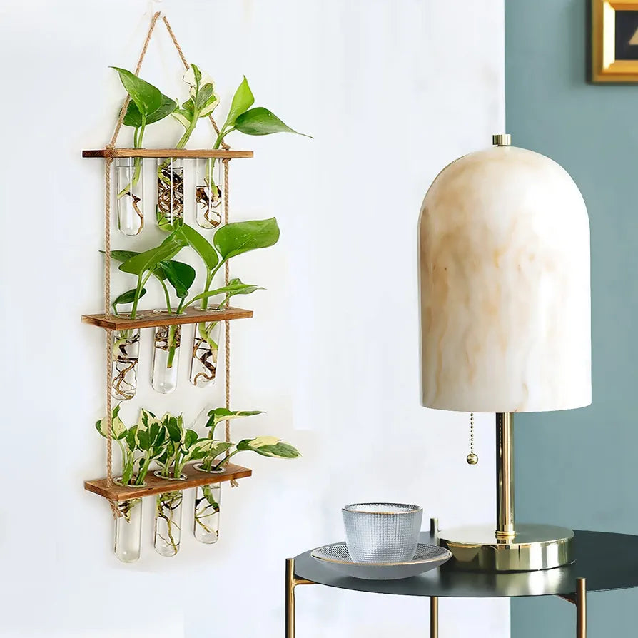 Wall Hanging Propagation Station with Wooden Stand